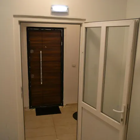 Jungle Joyland سكوبجي